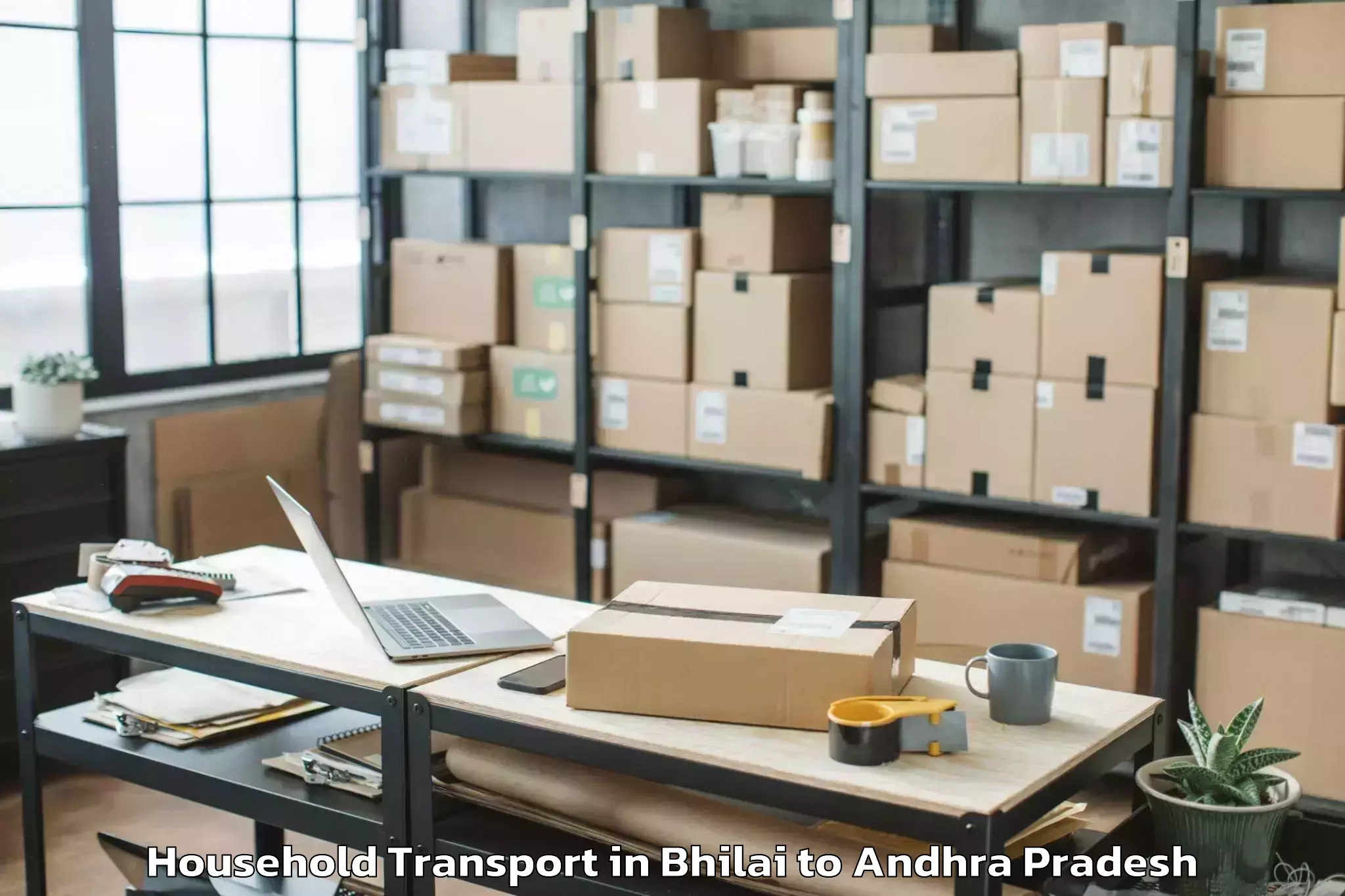 Affordable Bhilai to Pulicherla Household Transport